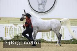 24R13_00801 thumbnail