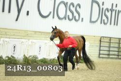 24R13_00803 thumbnail