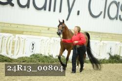24R13_00804 thumbnail