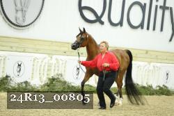 24R13_00805 thumbnail