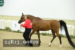24R13_00810 thumbnail