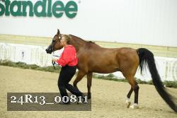 24R13_00811 thumbnail