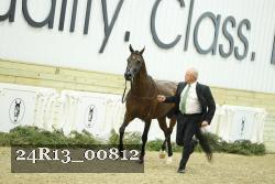 24R13_00812 thumbnail