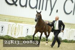 24R13_00813 thumbnail