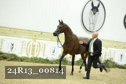 24R13_00814 thumbnail