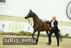 24R13_00815 thumbnail