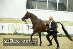 24R13_00817 thumbnail