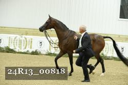 24R13_00818 thumbnail