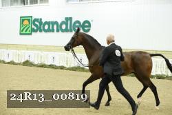 24R13_00819 thumbnail