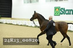 24R13_00820 thumbnail