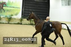 24R13_00821 thumbnail