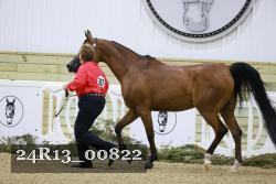 24R13_00822 thumbnail
