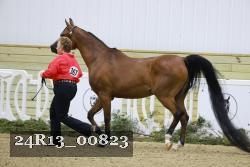 24R13_00823 thumbnail
