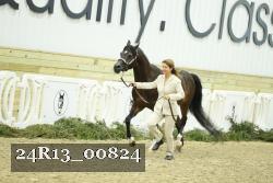 24R13_00824 thumbnail