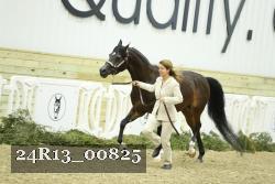 24R13_00825 thumbnail