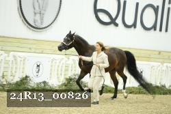 24R13_00826 thumbnail
