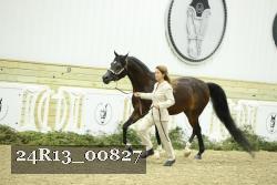 24R13_00827 thumbnail