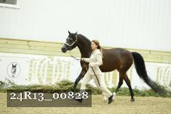 24R13_00828 thumbnail