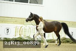 24R13_00830 thumbnail