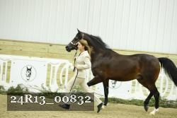 24R13_00832 thumbnail