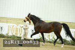 24R13_00833 thumbnail