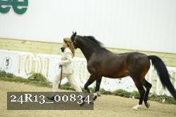 24R13_00834 thumbnail