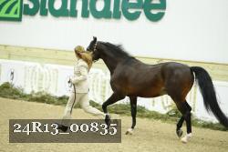 24R13_00835 thumbnail