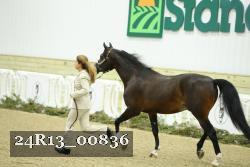 24R13_00836 thumbnail