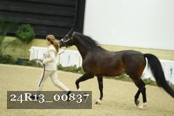 24R13_00837 thumbnail
