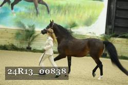 24R13_00838 thumbnail