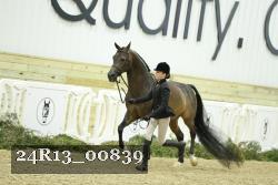 24R13_00839 thumbnail