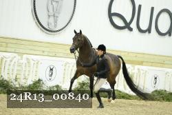 24R13_00840 thumbnail