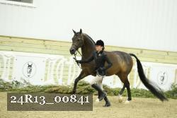 24R13_00841 thumbnail