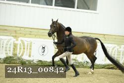 24R13_00842 thumbnail