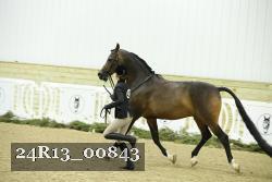 24R13_00843 thumbnail