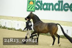 24R13_00844 thumbnail