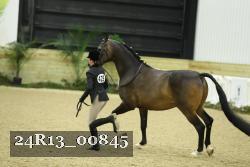 24R13_00845 thumbnail