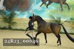 24R13_00846 thumbnail