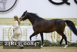 24R13_00847 thumbnail