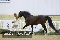 24R13_00848 thumbnail