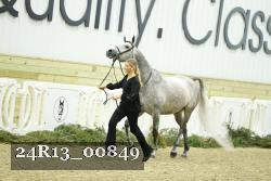 24R13_00849 thumbnail
