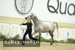 24R13_00850 thumbnail