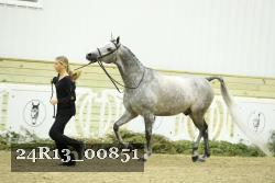 24R13_00851 thumbnail