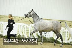 24R13_00854 thumbnail