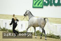 24R13_00856 thumbnail