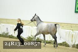 24R13_00857 thumbnail