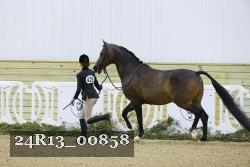 24R13_00858 thumbnail