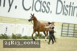 24R13_00861 thumbnail