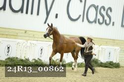 24R13_00862 thumbnail