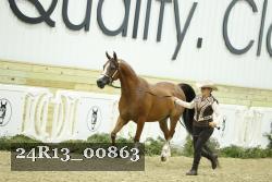 24R13_00863 thumbnail